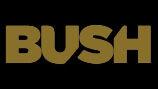 Bush: Live in Austin