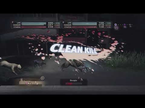 TOKYO JUNGLE: LION AND BLACK PANTHER (CO-OP)