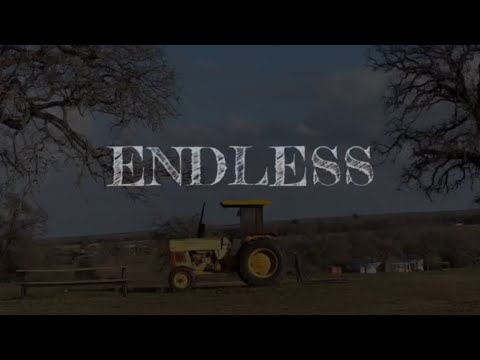 Dylan Zientek- Endless (Official Music Video)