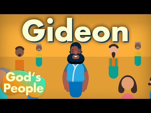 Witness21 Editor  2019 06 21