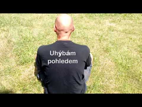 Jiný Člověk & Tydwa - Introvert na fesťáku - verze 2