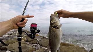 Ima Pugachev's Cobra'ya Levreğin Atlayışı