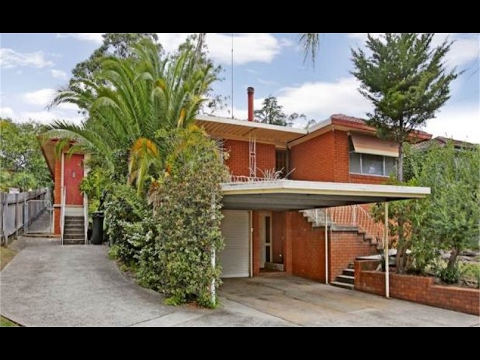 Campbelltown - Close To Everything  - Sazzad Hossain