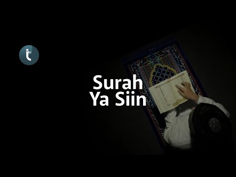 Surah YASIN Merdu dan Menyejukkan Hati - Tariq Muhammad | Taqarrub Daily
