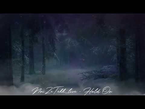 NoiZeTekk_live - Hold On