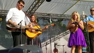 Josh Williams and Rhonda Vincent and the Rage / Prodigal Son