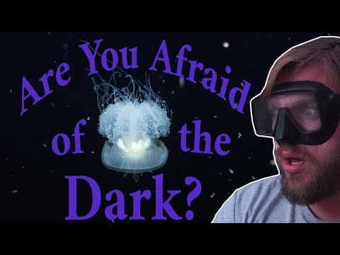 Are you afraid of the Dark? - Black Water Night Dive