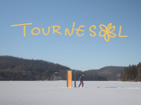 Video thumbnail for Tournesol