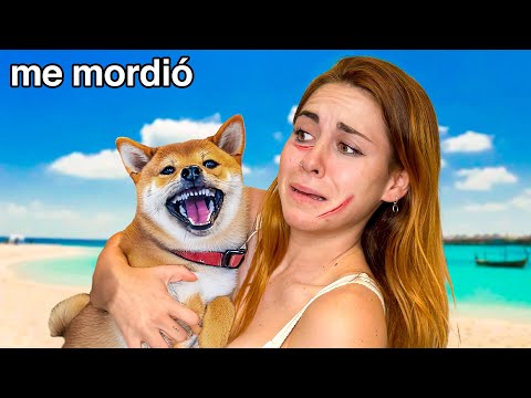 My dog ​​bit me in the face...