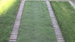 preview picture of video 'Green Acres Instant Lawn'