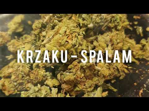 Krzaku - Spalam