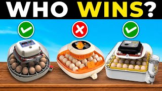 5 Best EGG INCUBATORS 2026 | Top Cheap Egg Incubators Machine on Amazon