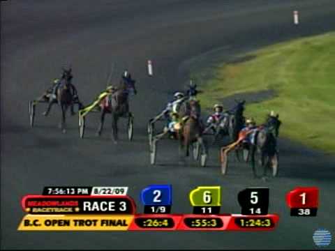 Breeders Crown Open Trot