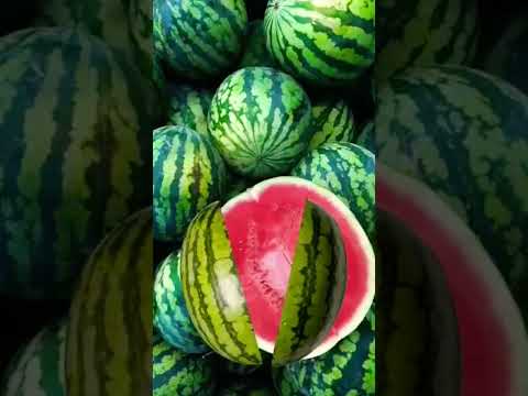 AMAZING WATERMELON FRUIT #viral #watermelon #fruit #shorts #trending