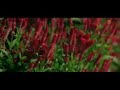 Gitar Tune Babbu Maan Song Kad Pyar Ho Gea