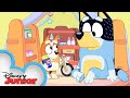 Bluey Season 3 Episode 50 