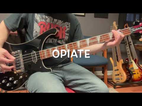 5 Paul D'Amour TOOL bass riffs