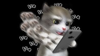 Teenage Fanclub - Discolite