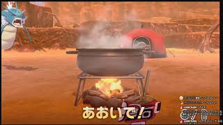 【ポケモンソード】使えるボールはモンスターボールのみの旅【ワイルドエリアからナックルシティへ行くところから】