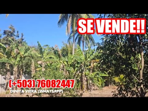 ATENCIÓN!!! 4 PRECIOSAS MANZANAS CON CASA, ARBOLES FRUTALES Y FINCA DE CAFÉ EN ARMENIA SONSONATE