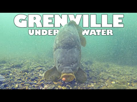 Underwater carp fishing in Grenville (Incl. Deeper Sonar scans)