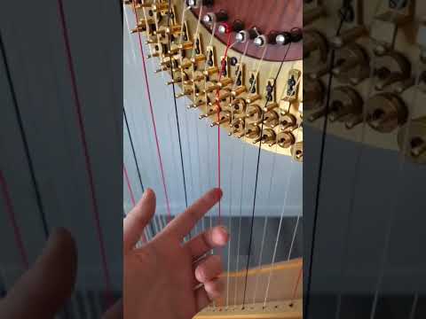 What do the pedals do? #shorts