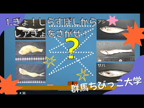 1 ギョッ！しらすぼしからレアぎょをさがせ！