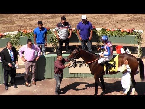 Run Away Wins Santa Anita Juvenile | Los Angeles Times