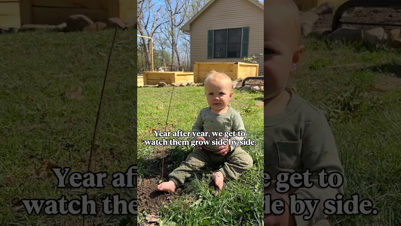 My favorite thing to see when I look out the window 🌳