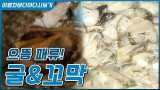 벚꽃 피면 먹지 말라는 굴. 피 가득 영양 품은 꼬막. #입김 나면 생각나는 겨울 진객 굴, 꼬막