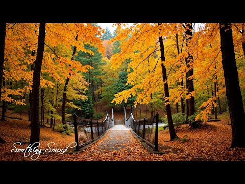 Beruhigende Herbstmelodien 🍁 Stressabbau und emotionale Heilung