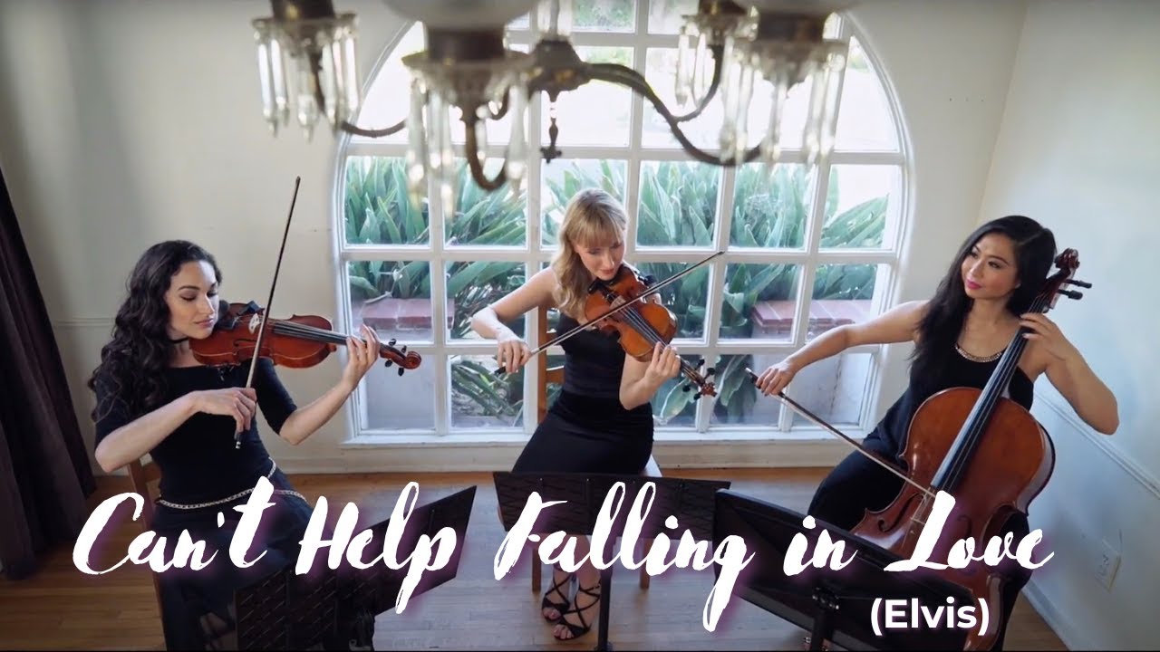 Promotional video thumbnail 3 for Organic String Quartet