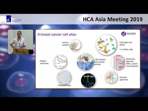 HCA Meeting Asia 2019: Multidimensional Single Cell Analysis of the Tumor Microenvironment