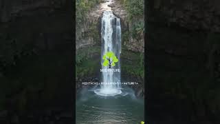 Cachoeira Relaxante | Meditature