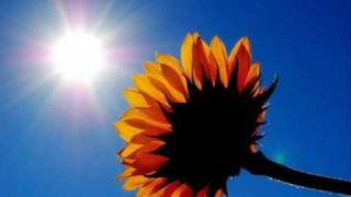 Marlena Shaw - California Soul