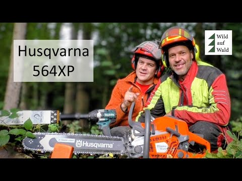 🌲Wird die Husqvarna 564XP DIE BESTE MOTORSÄGE ALLER ZEITEN? #wildaufwald