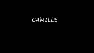 Camille  -  Tout dit  (Acoustique)