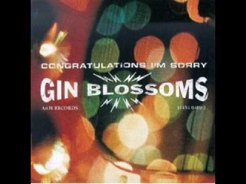 Thumbnail for Gin Blossoms-Follow You Down (live) by Gin Blossoms