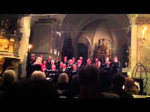 Arboga Manskör - You'll never walk alone