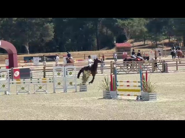 Top jument &agrave; louer - CSO