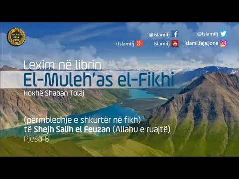 Lexim në librin "El-Muleh’as el-Fikhi" të shejh Salih el Feuzan (Pjesa e tetë) - Shaban Tolaj