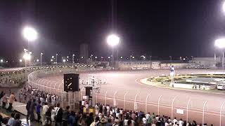 2015.09.23 SG 第19回オートレースグランプリ 優勝戦（現地映像）