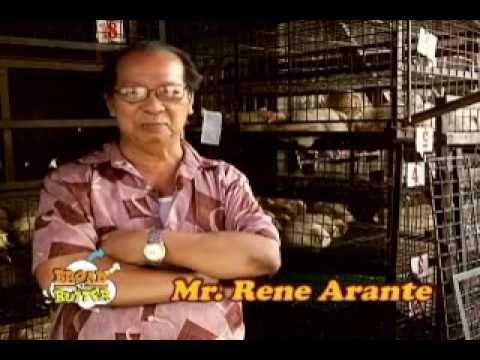 Makakatanggap ba ako mawalan ng timbang kung hindi ako kumakain pagkatapos ng 6 mga review na may mg Ano ang gagawin upang mas payat binti