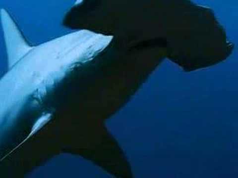 Make your Actions Reflect your Words