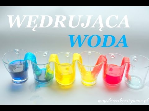 Eksperyment WĘDRUJĄCA WODA, eksperymenty dla dzieci w domu, DOŚWIADCZENIA z moje dzieci kreatywnie