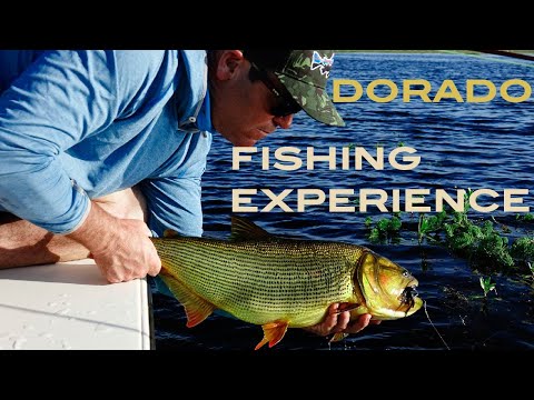 Smash Hits: Dorado in the Marsh - Pirá Lodge