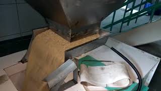 Linear feeder for 4tons of broken cashew