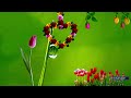 Good Morning Video Own Music