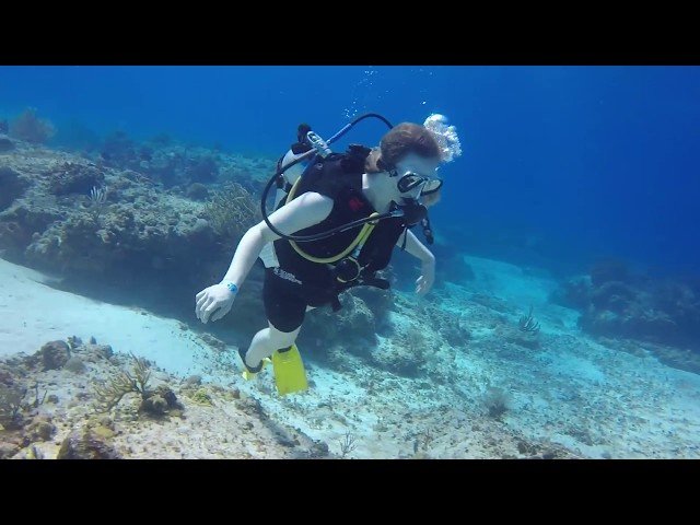 Scuba Diving with Kaitlin, Austin, and Blue Reef Divers