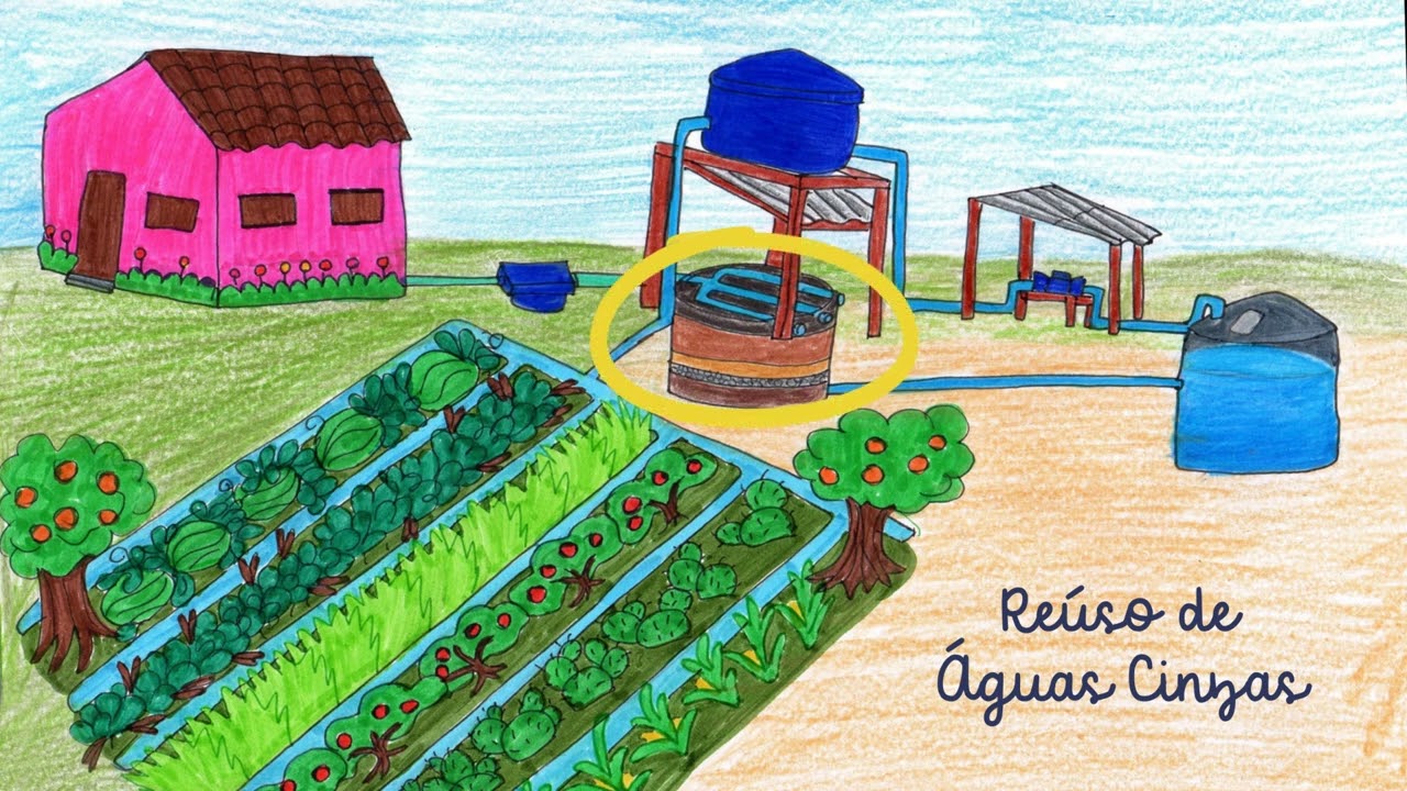 Reúso de águas cinzas para a produção de alimentos e forragens